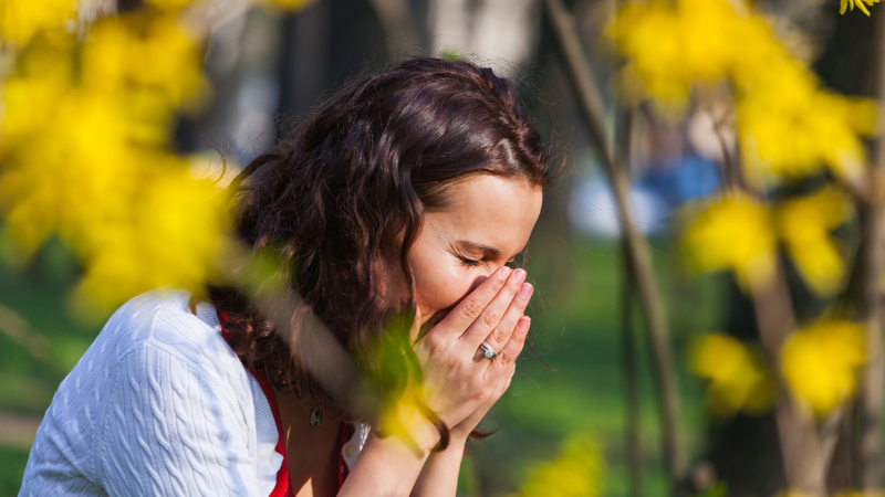 Woman sneezing in hay fever season
